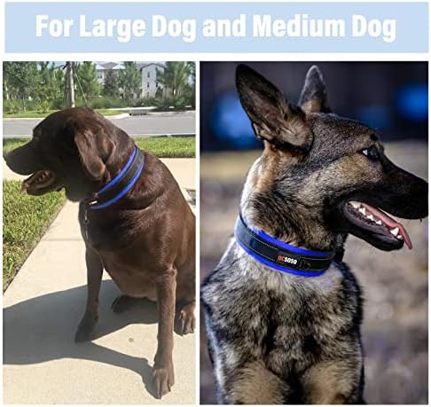 Yastıklı Köpek Tasması, Yansıtıcı Dikiş Dayanıklı Metal Kemer Tokası ve Etiketli Hava Koşullarına Dayanıklı evcil